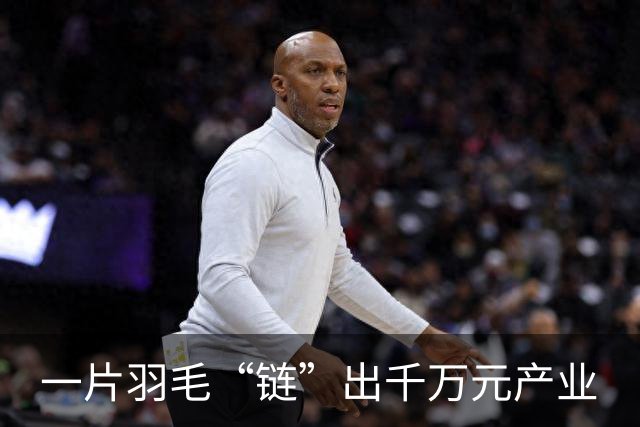一片羽毛“链”出千万元产业
